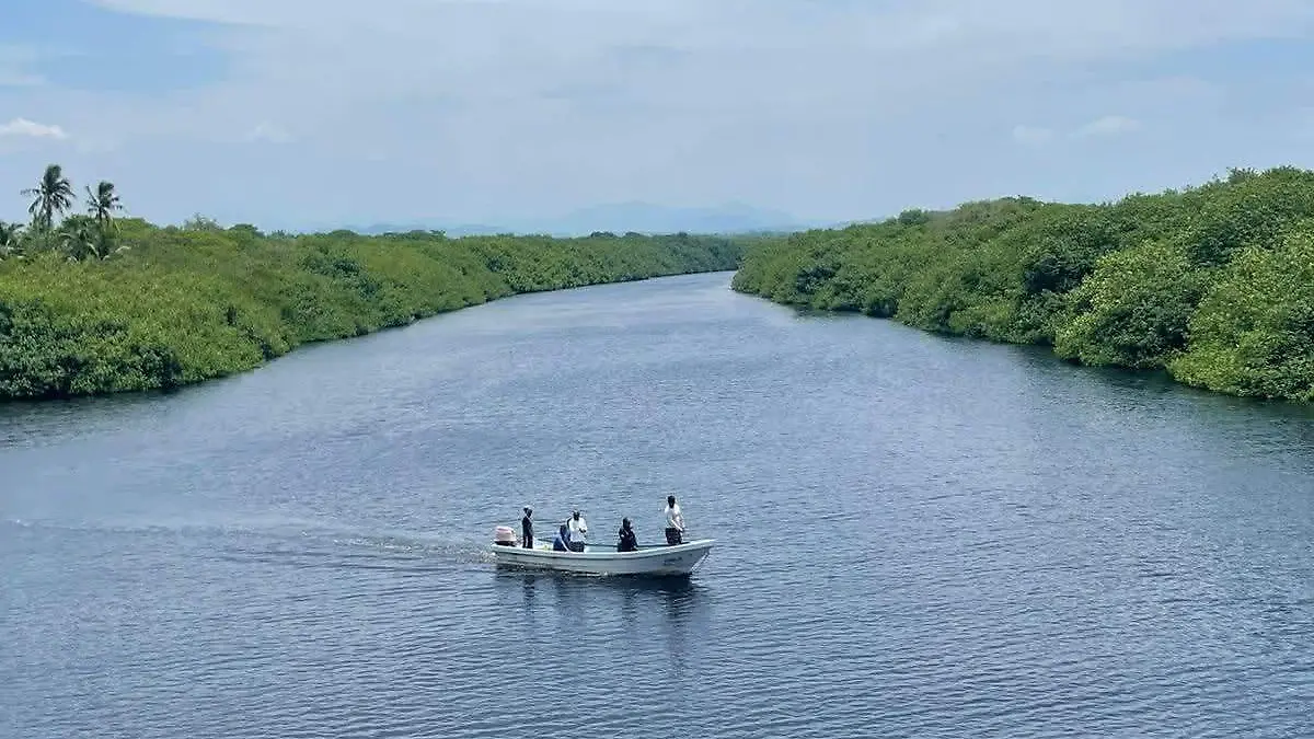 Búsqueda de menor que cayó a estero