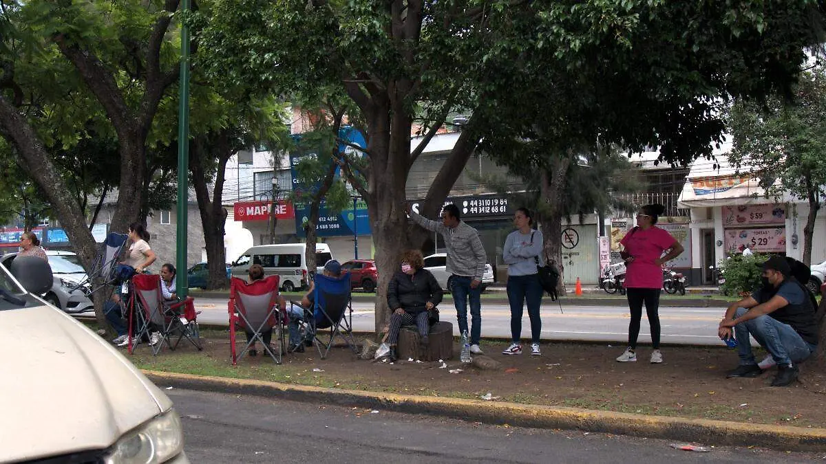 IMSS Camelinas 4