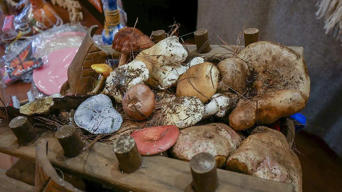 Feria del hongo_AJO (4)