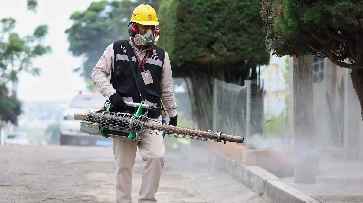 WhatsApp Image 2025-08-12 at 14.25.06 (1)