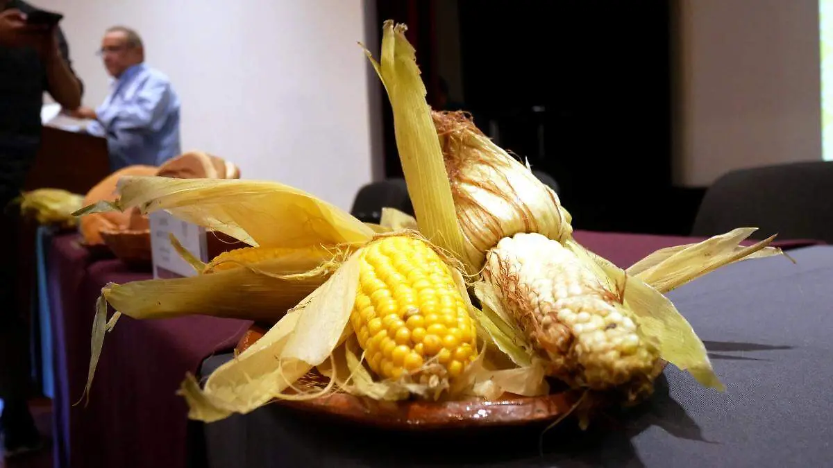 Elotes