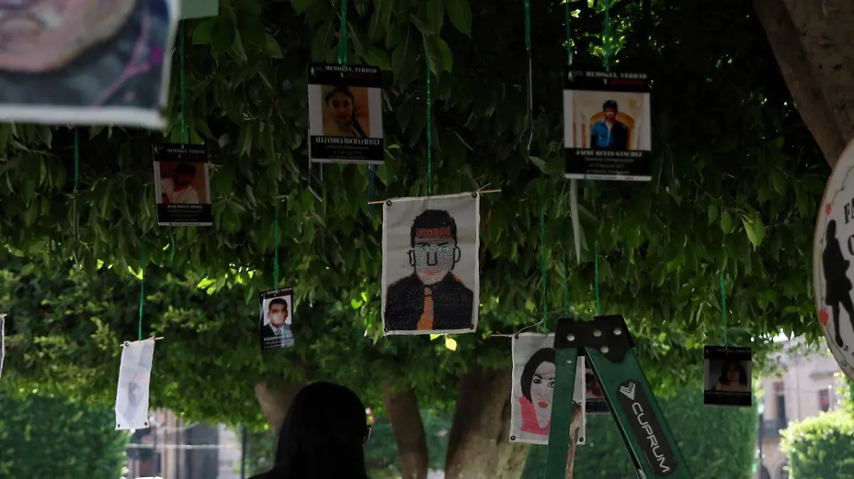 Colectivos de personas desaparecidos (2)