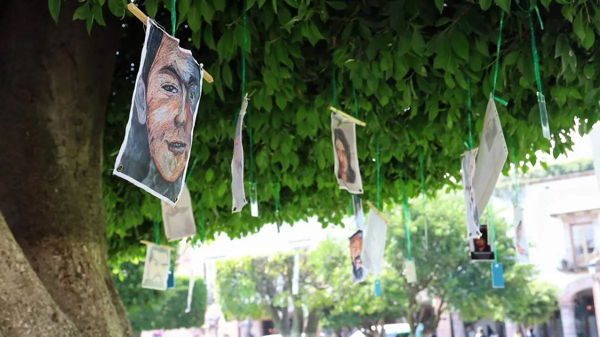 Colectivos de personas desaparecidos (1)