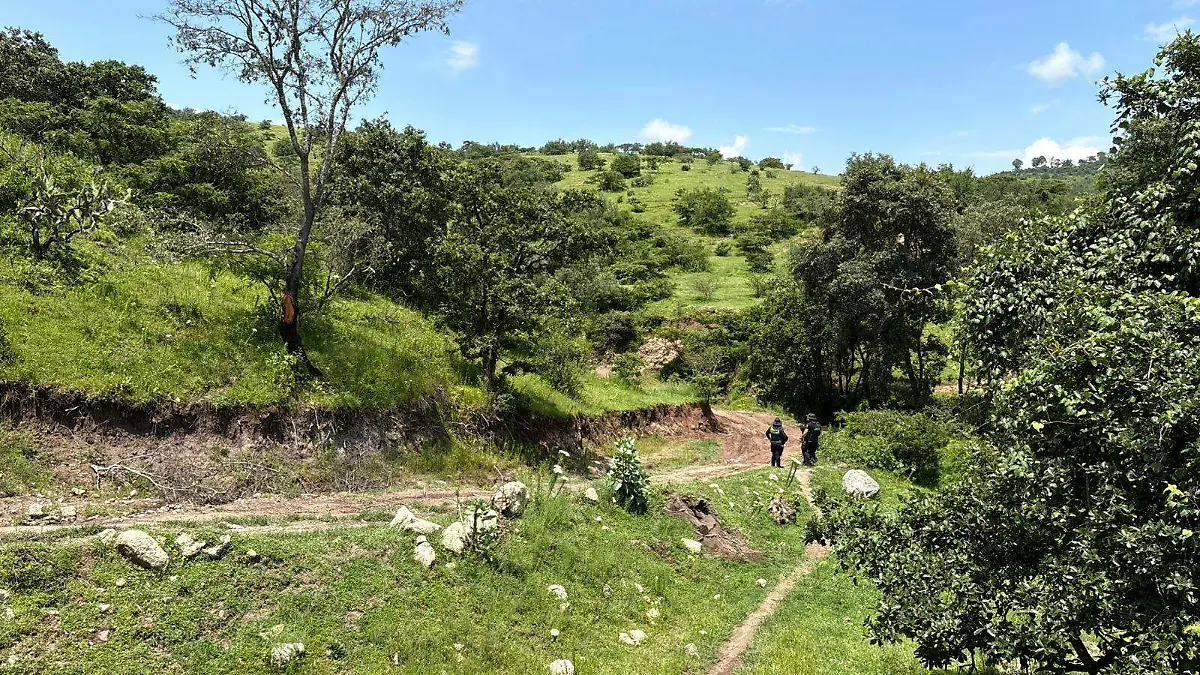 WhatsApp Image 2025-09-05 at 1.12.47 AM (1)