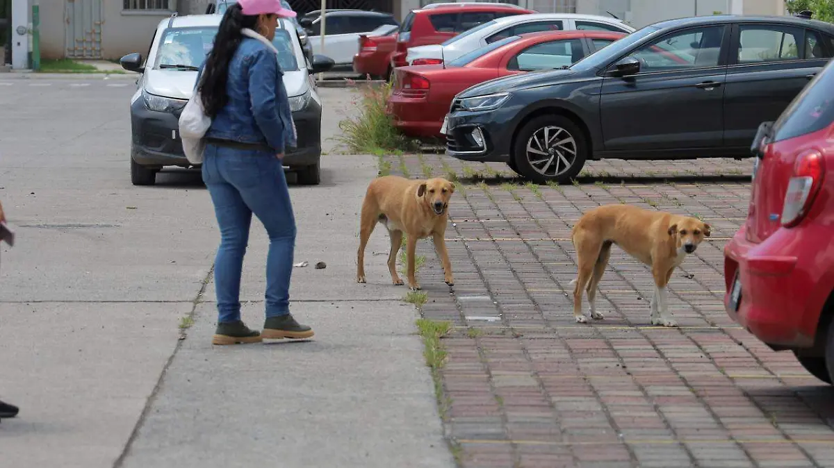 Vecinos del Vergel (1)