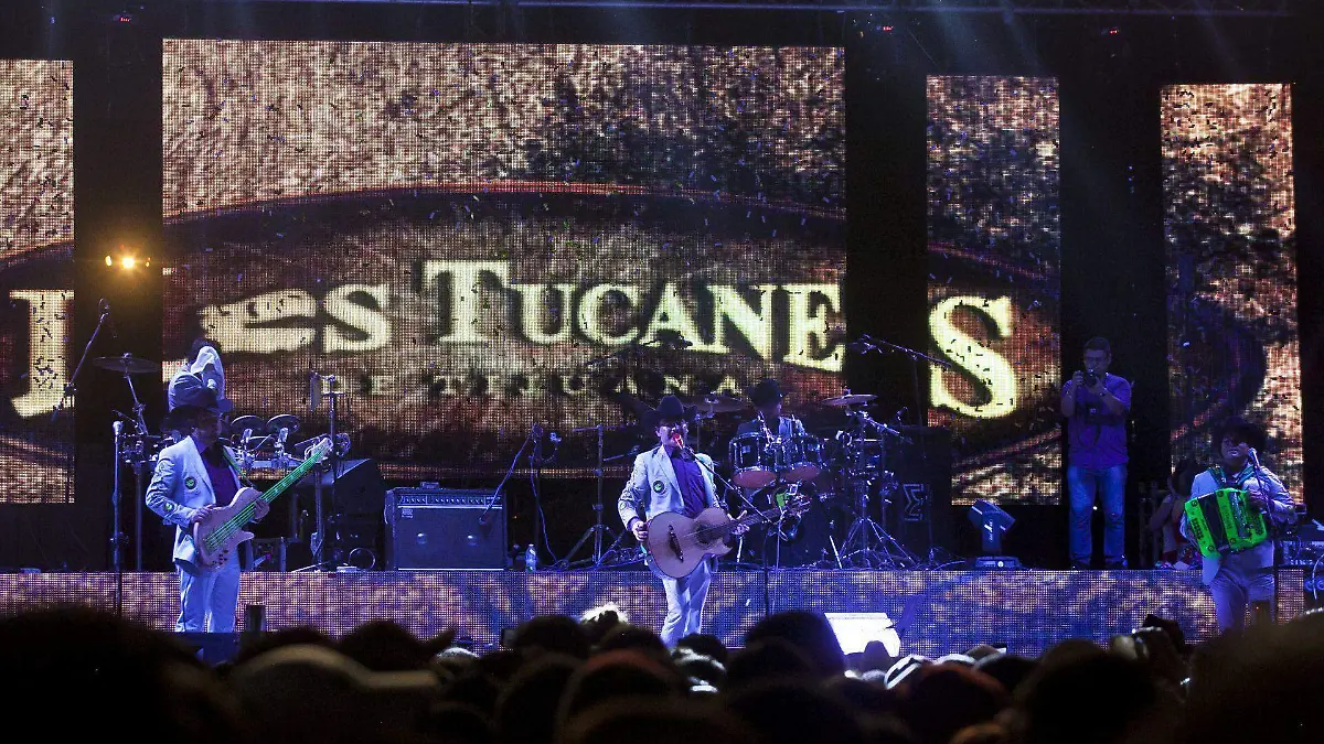470937_Tucanes de Tijuana_web