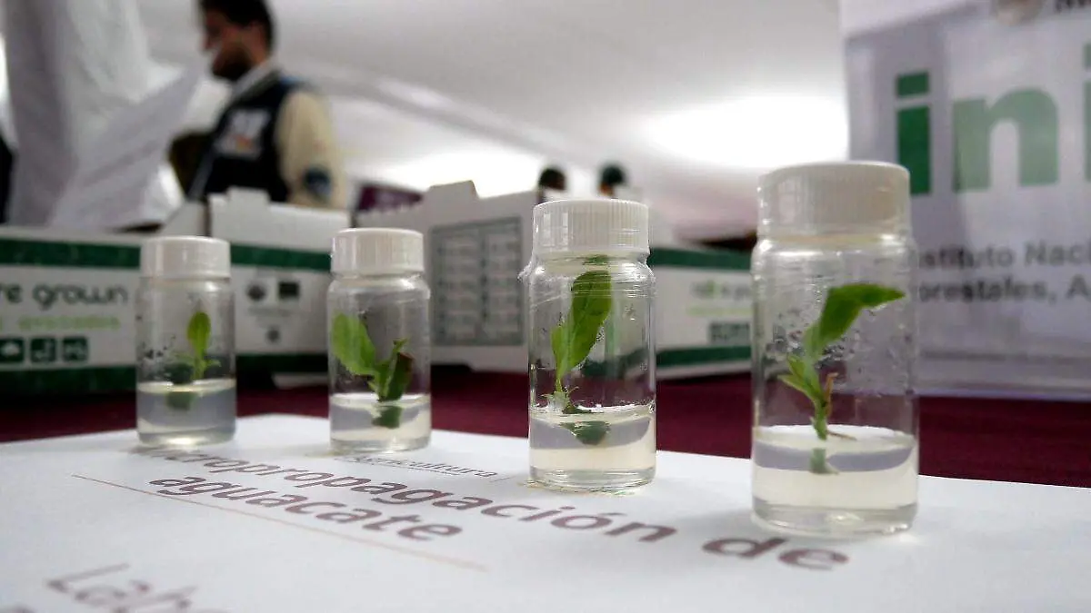 Ciencia (1)