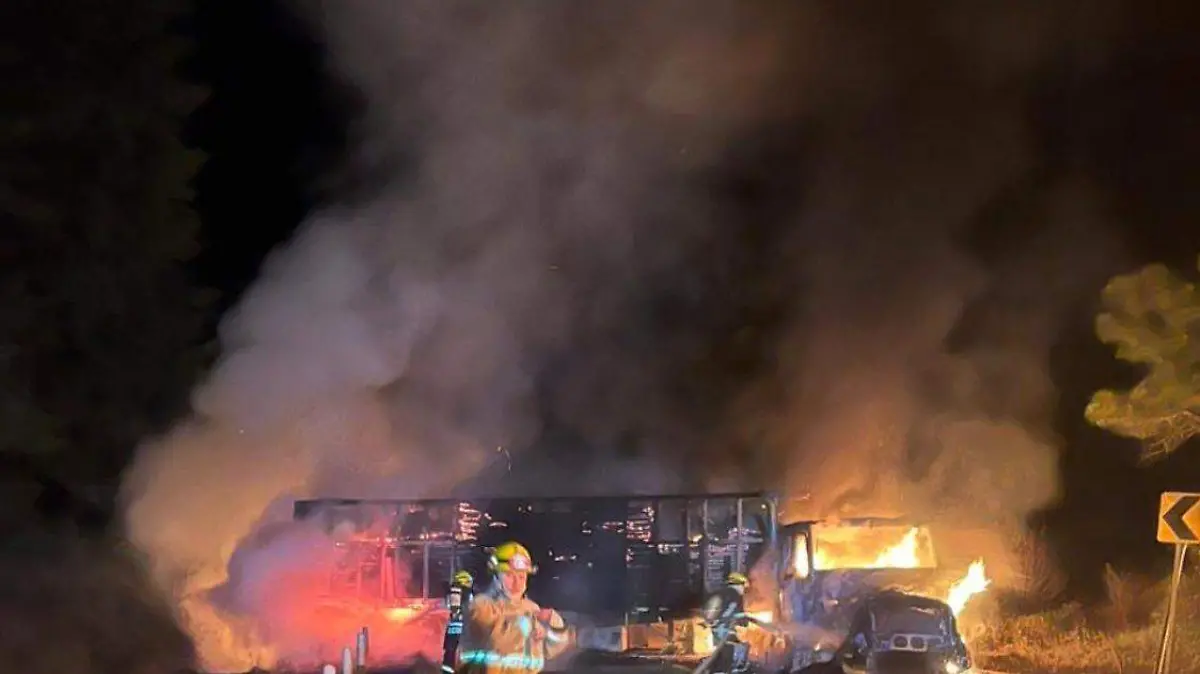 WhatsApp Image 2025-10-17 at 10.26.00