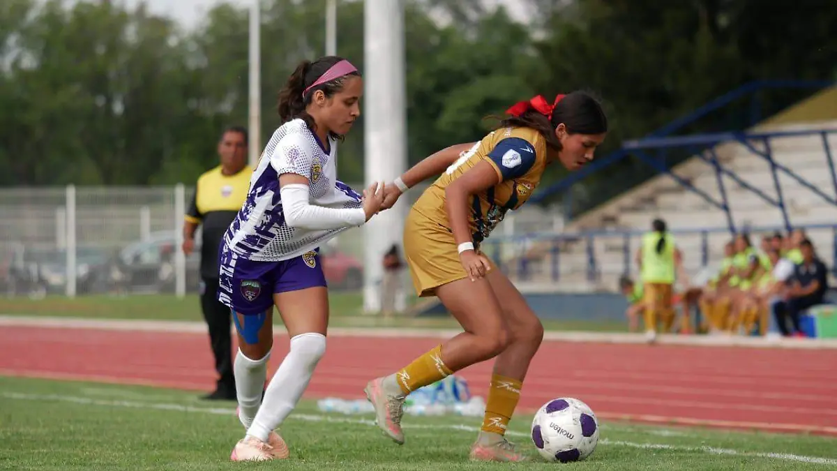 WhatsApp Image 2025-10-18 at 1.02.57 AM