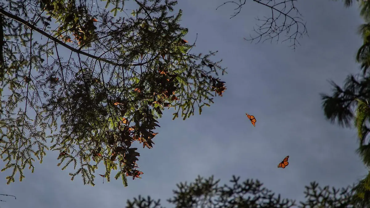 WhatsApp Image 2025-10-29 at 12.30.36 (1)