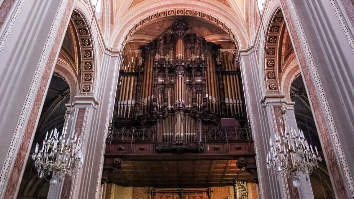 WhatsApp Image 2025-11-05 at 10.50.46