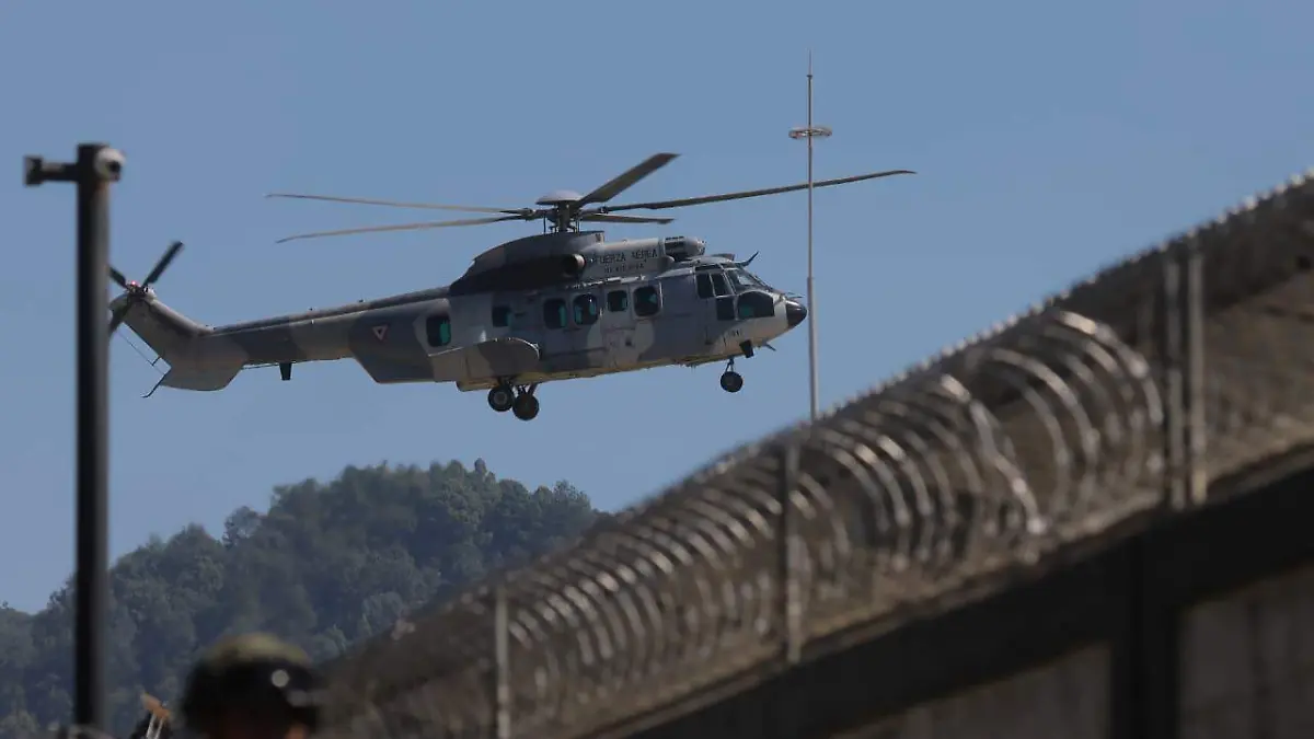 WhatsApp Image 2025-11-13 at 8.03.07 PM