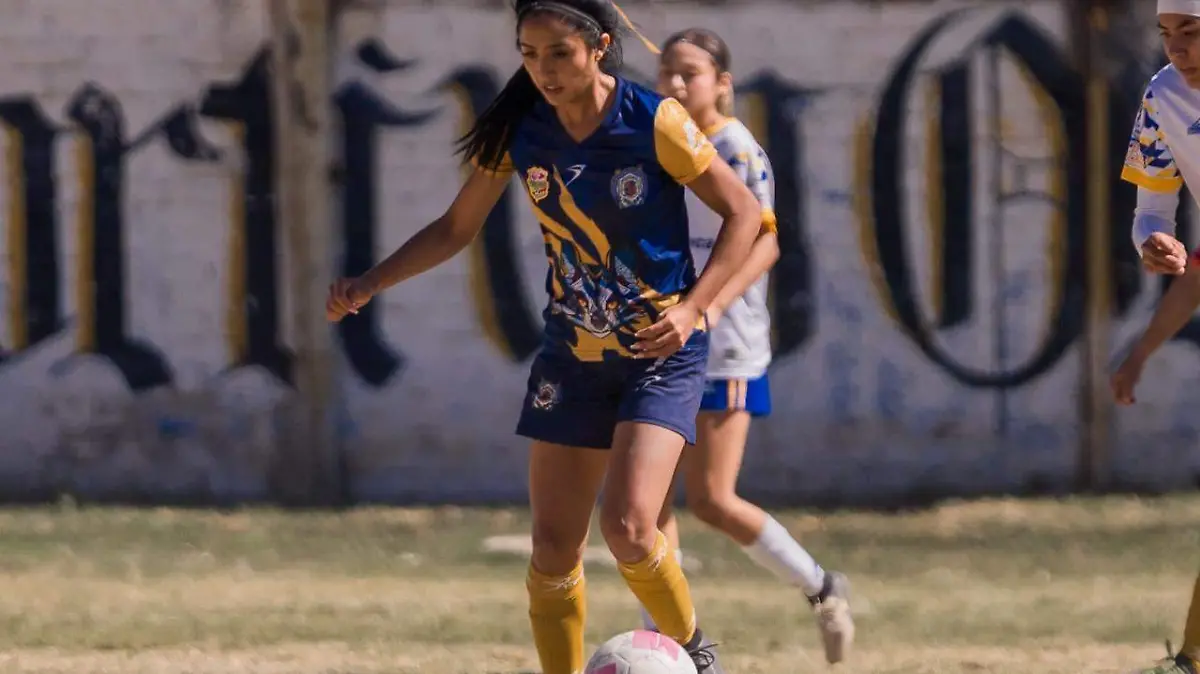 WhatsApp Image 2025-11-21 at 14.46.00