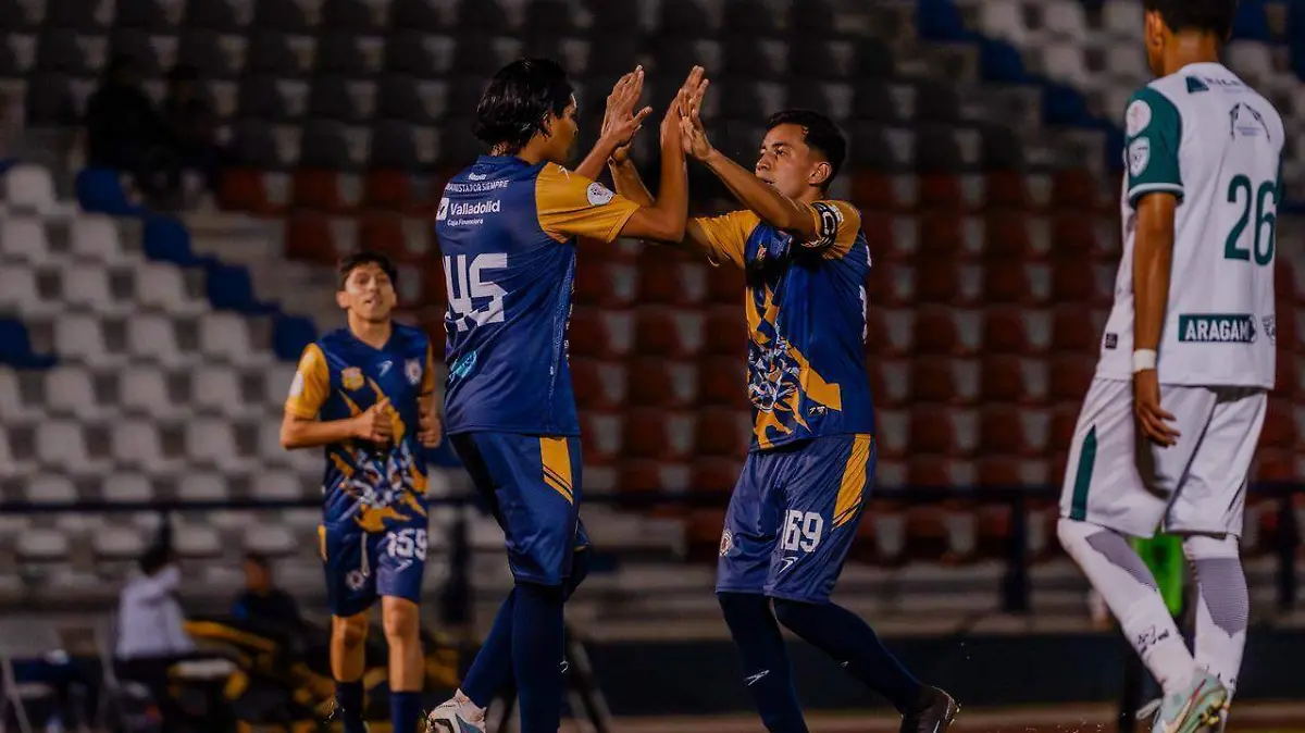 WhatsApp Image 2025-11-22 at 11.08.45