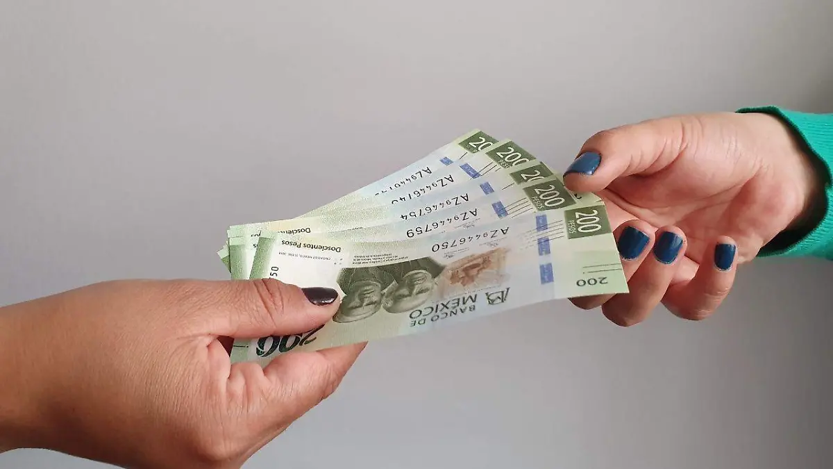 WhatsApp_Image_2019-12-18_at_3.08.45_PM