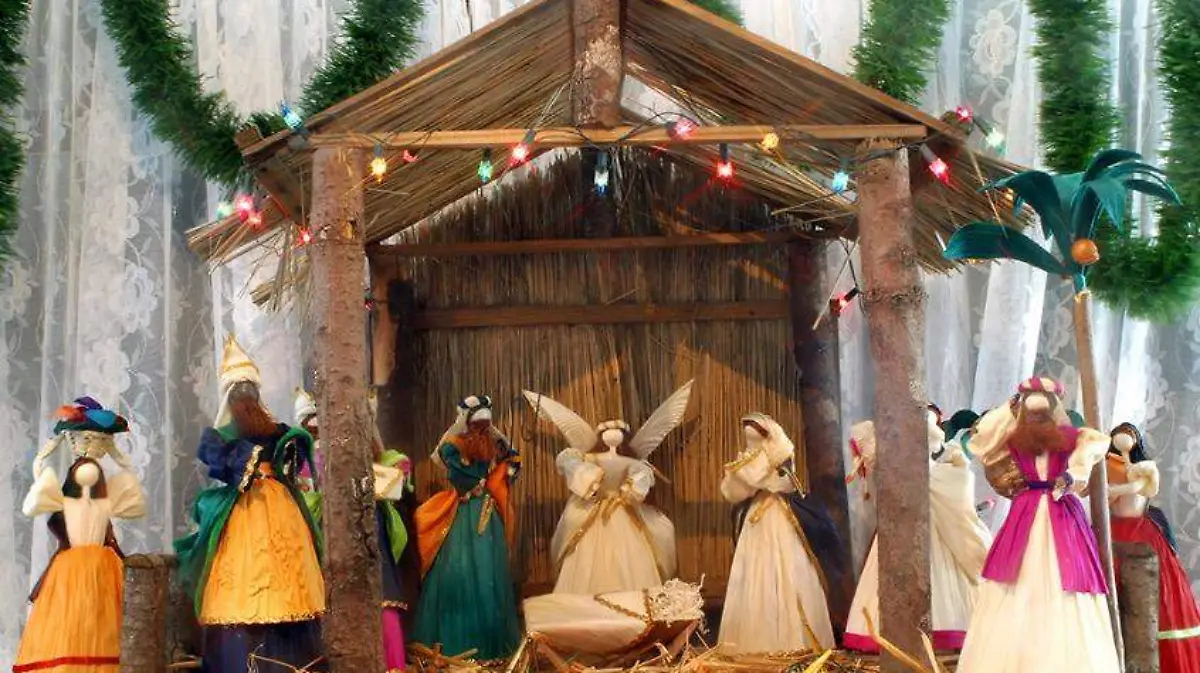 Nacimiento de hoja de maíz