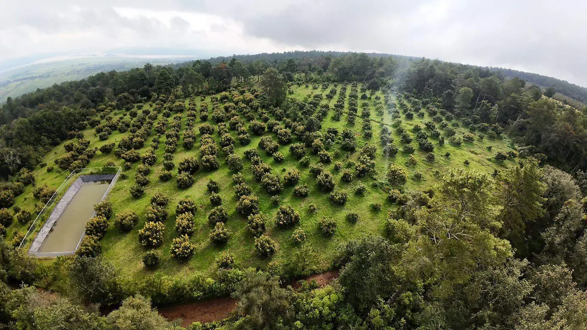 WhatsApp Image 2025-12-15 at 08.38.53