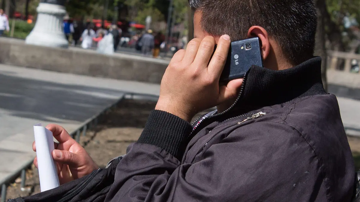 485037_Teléfonos Celulares_impreso