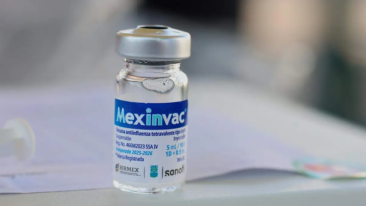 WhatsApp Image 2025-12-16 at 12.44.47