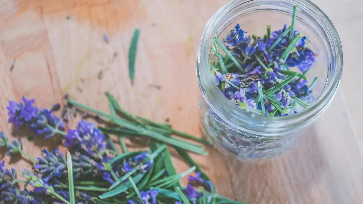 Lavanda 