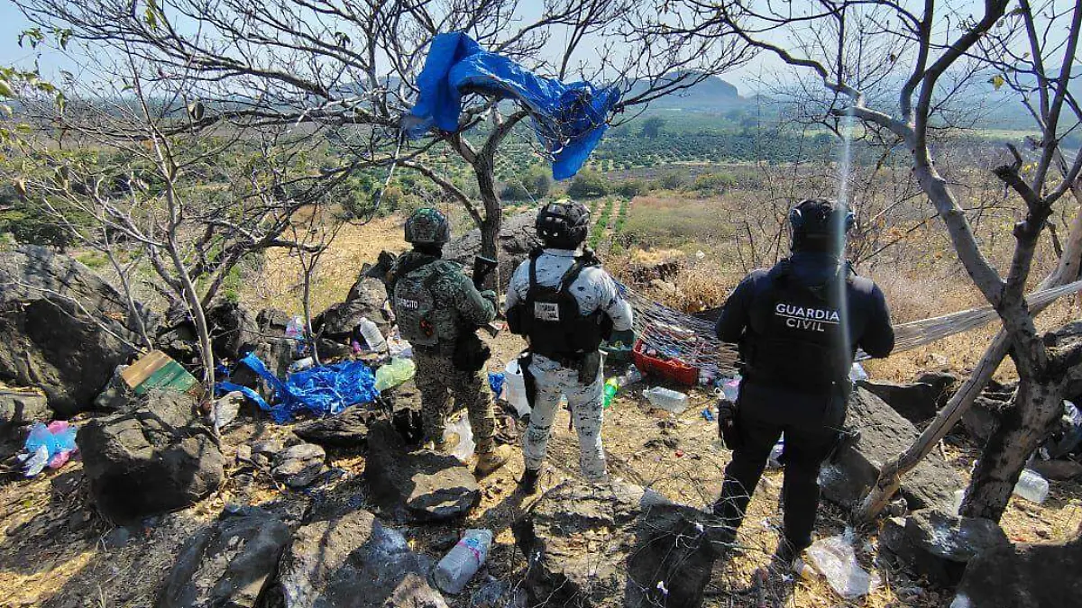 WhatsApp Image 2025-12-17 at 07.52.08