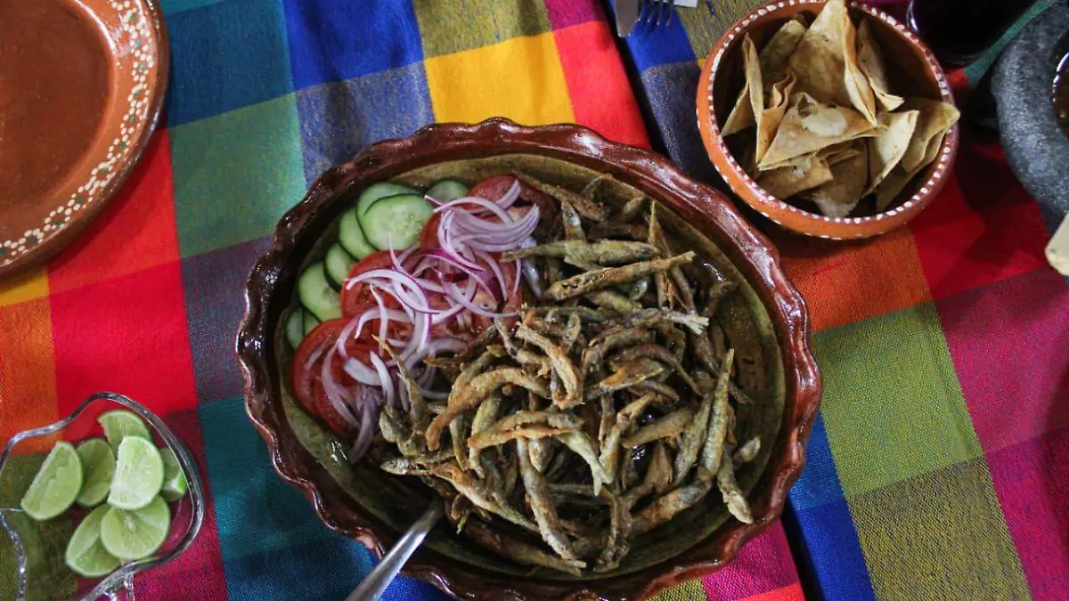 WhatsApp Image 2025-12-19 at 10.20.30 PM