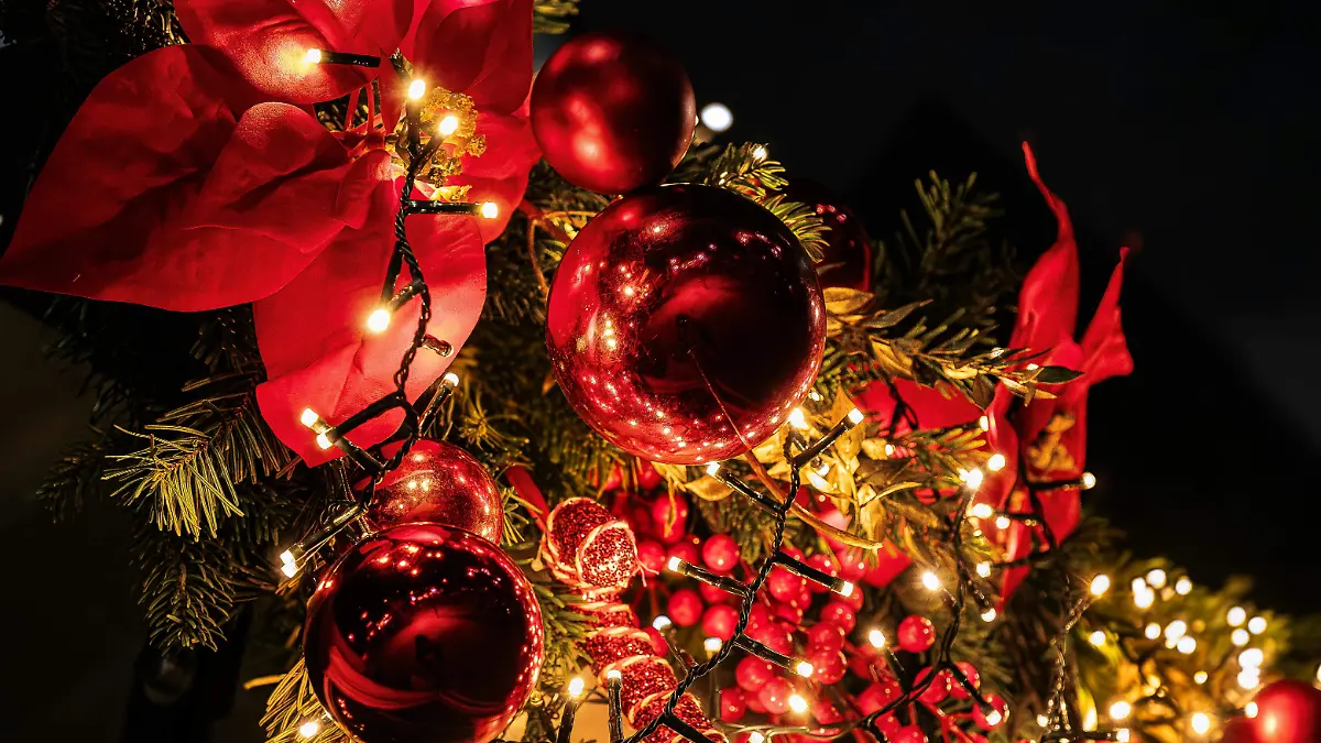 pexels-stephanie-a-2157353339-35104216