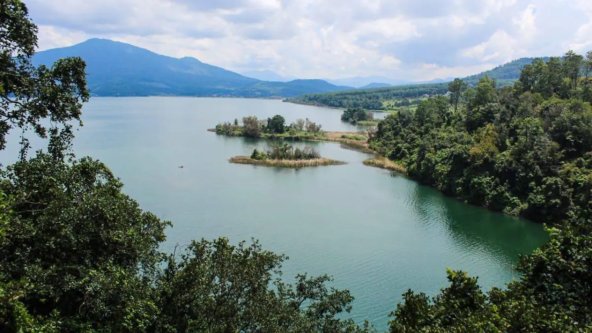 WhatsApp Image 2025-12-23 at 10.22.45 PM