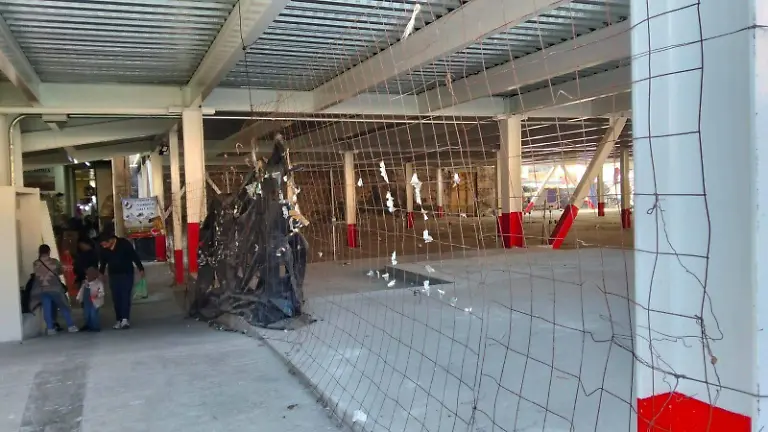 WhatsApp Image 2025-12-24 at 10.39.46