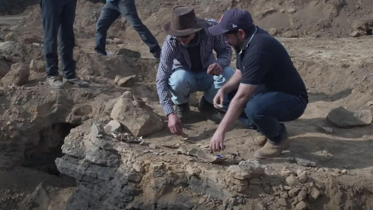 Captura de pantalla 2025-12-24 201647