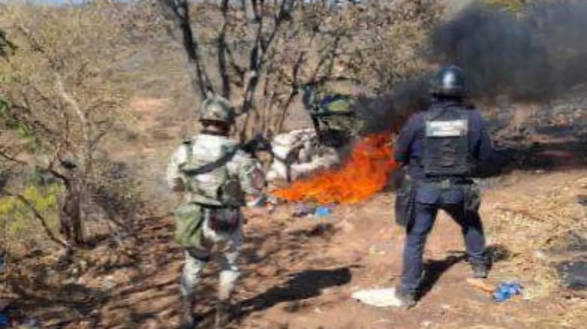 WhatsApp Image 2025-12-27 at 1.50.38 AM