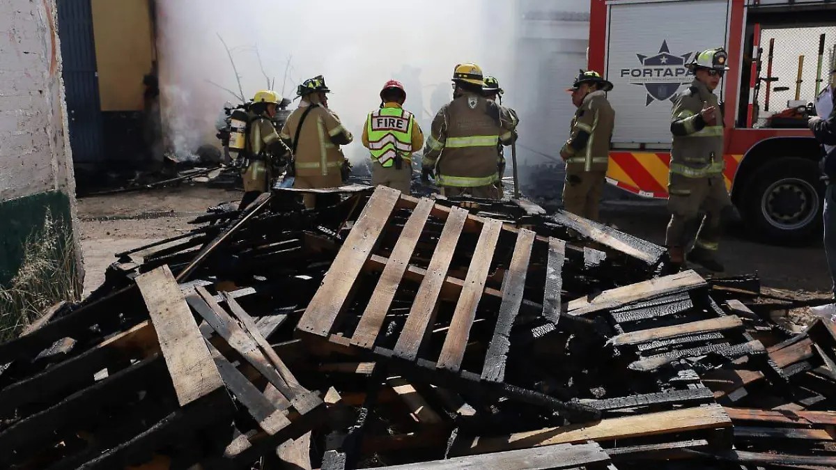 WhatsApp Image 2025-12-27 at 13.13.57