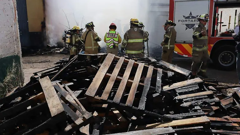 WhatsApp Image 2025-12-27 at 13.13.57