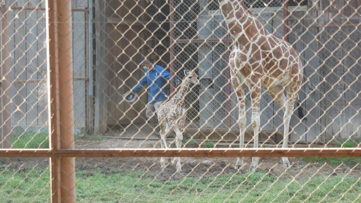 WhatsApp Image 2025-12-30 at 08.49.04