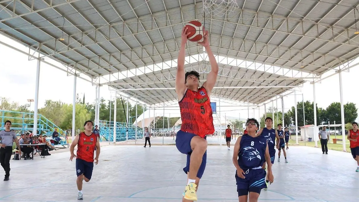 WhatsApp Image 2025-12-30 at 12.11.46