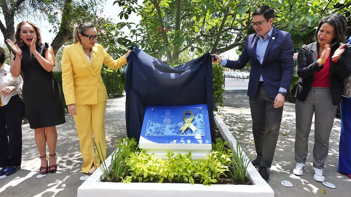 WhatsApp Image 2026-01-02 at 14.05.15