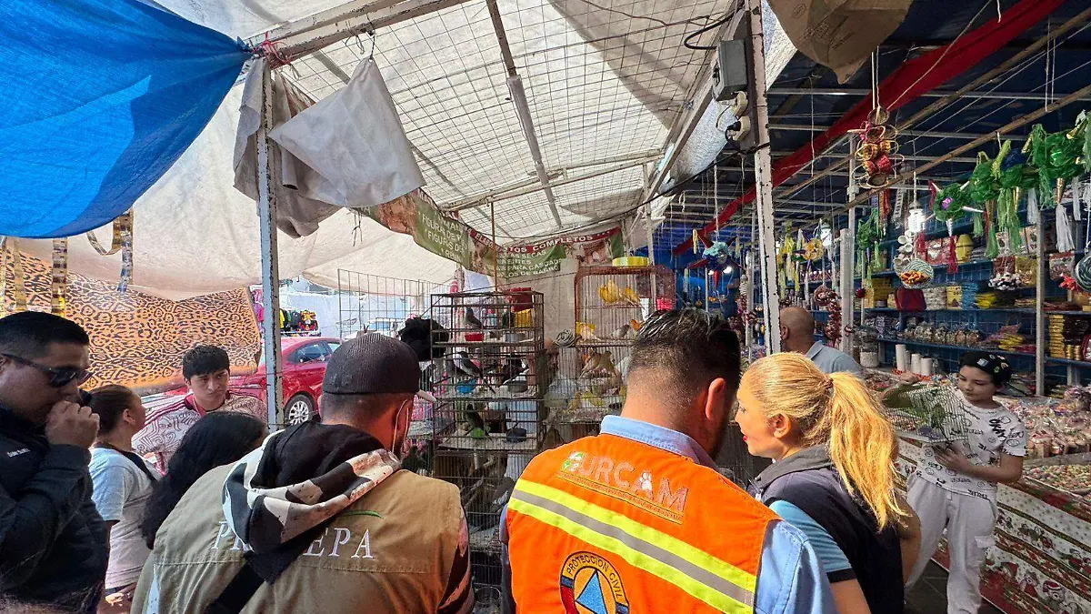 WhatsApp Image 2026-01-05 at 7.33.09 PM