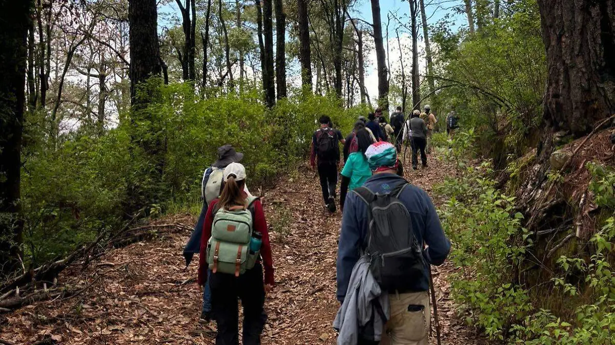 471150200_18011836448663033_6052390252151668999_n