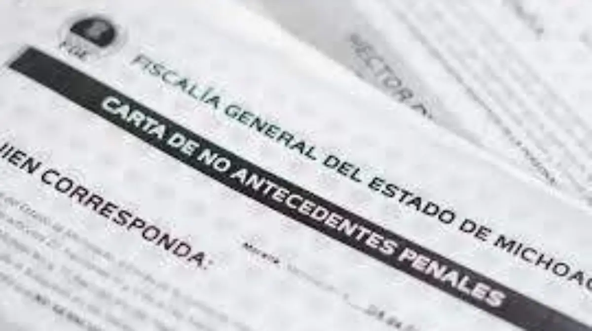 WhatsApp Image 2026-01-08 at 13.18.02