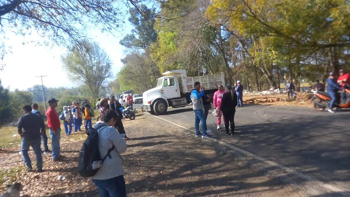 WhatsApp Image 2026-01-08 at 13.18.44