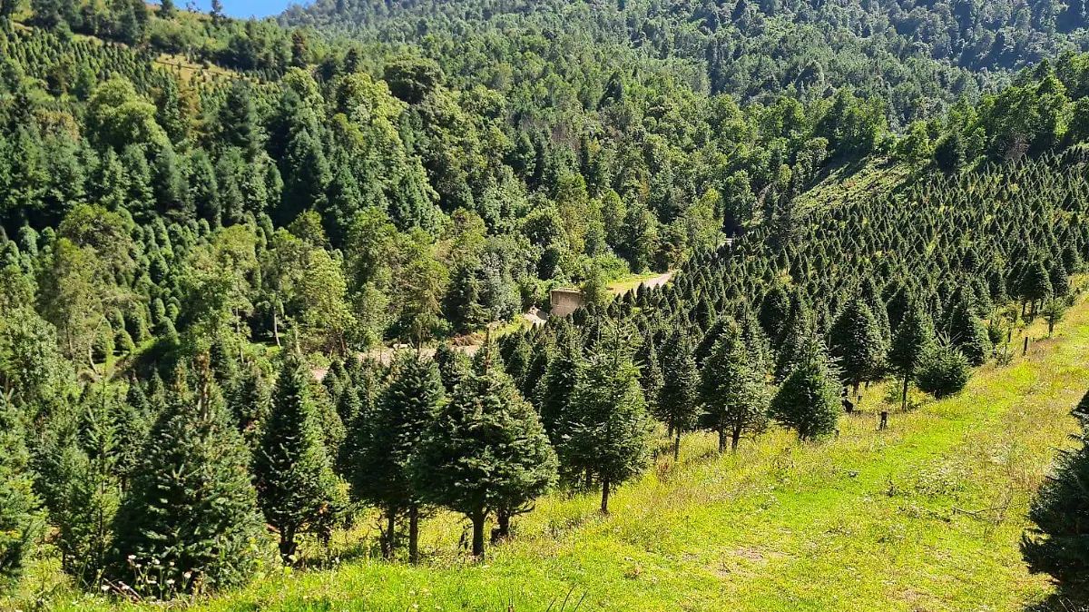 WhatsApp-Image-2022-11-21-at-4.28.15-PM