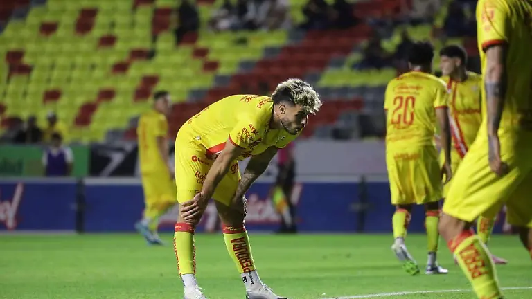 WhatsApp Image 2026-01-10 at 19.51.14