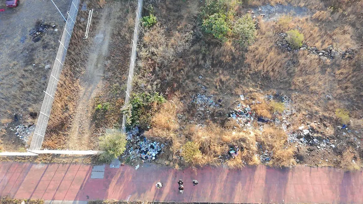 WhatsApp Image 2026-01-12 at 08.22.32