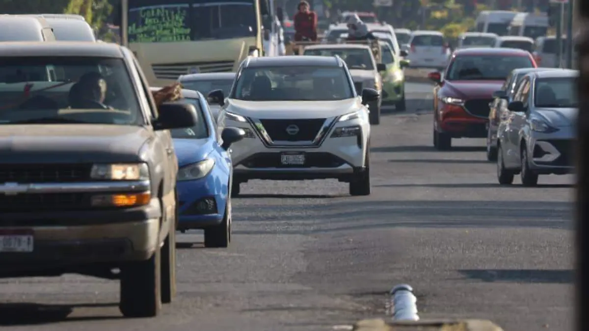 WhatsApp Image 2026-01-12 at 09.45.30