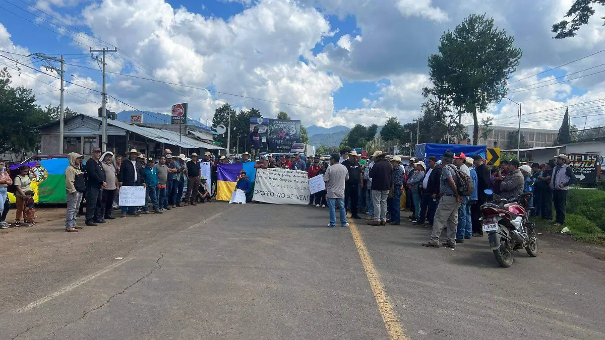 561924903_1229802775845776_5218882989544536109_n