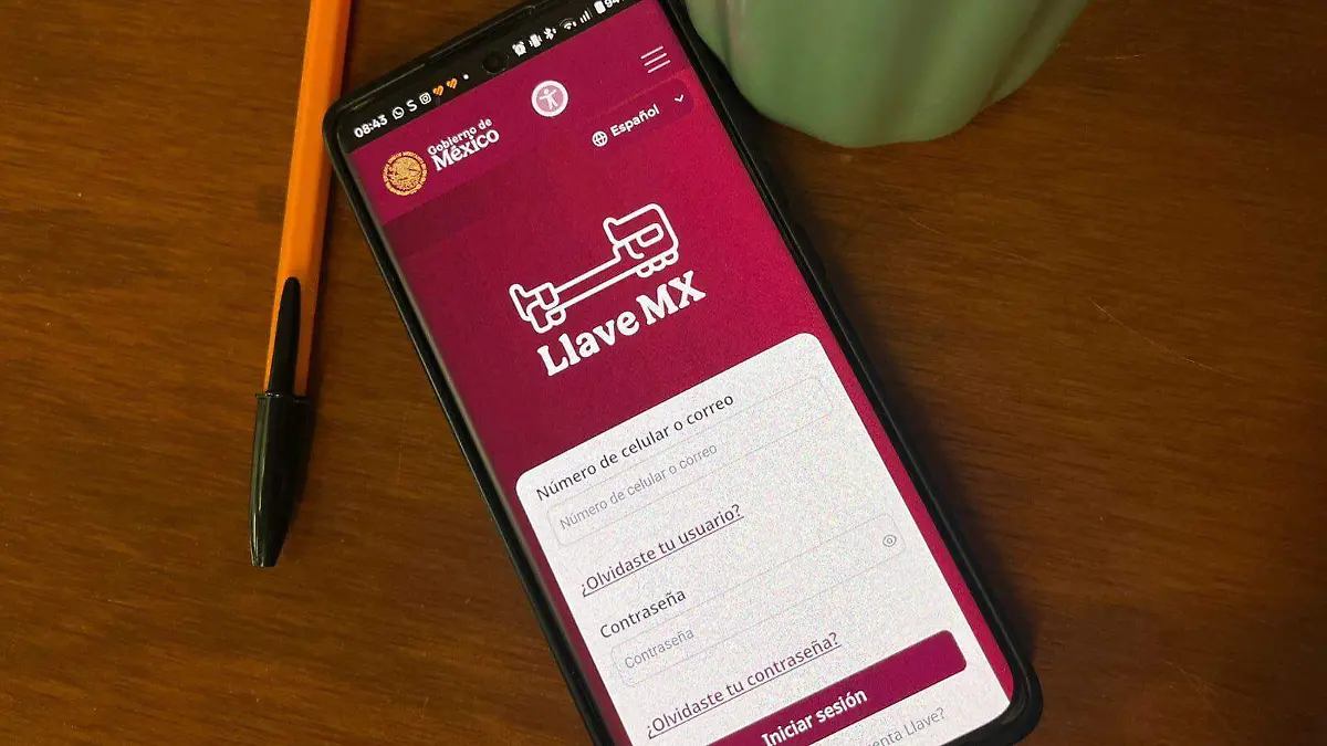 WhatsApp Image 2026-01-13 at 08.46.47