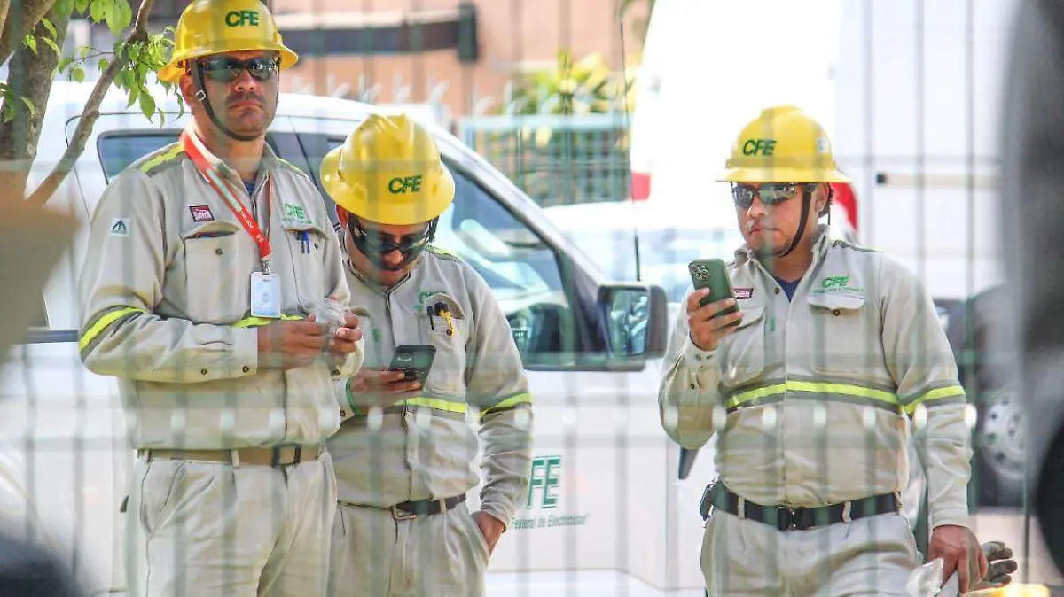 trabajadores cfe