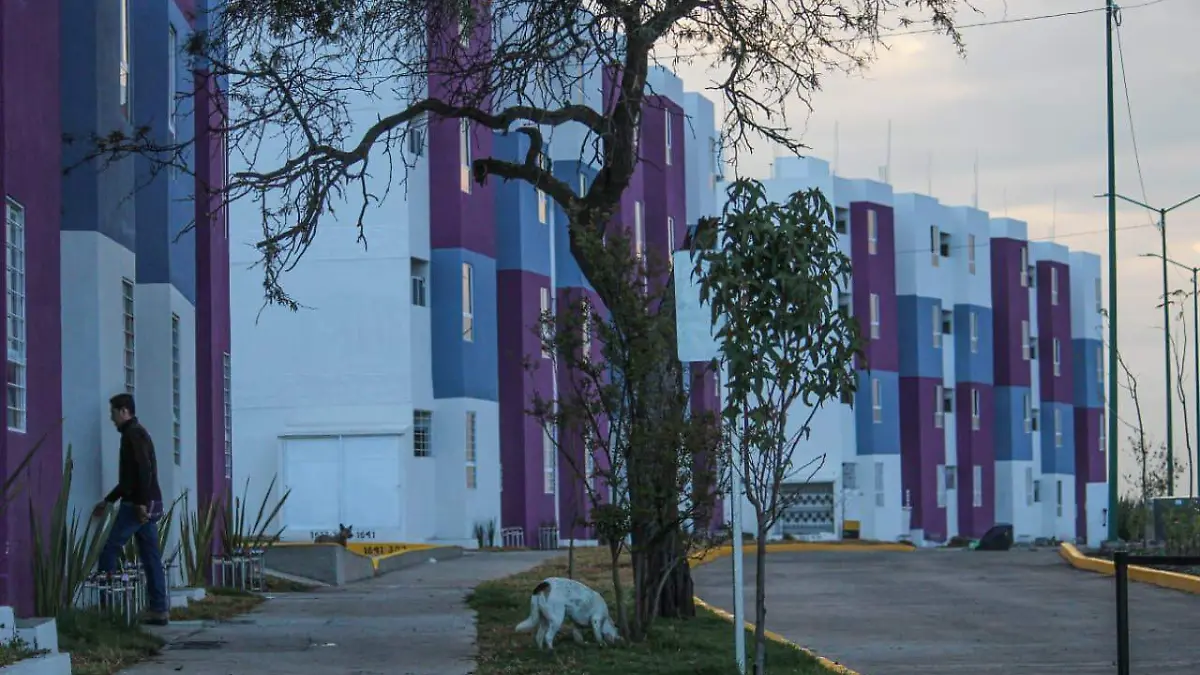 Departamentos del programa Viviendas para el Bienestar