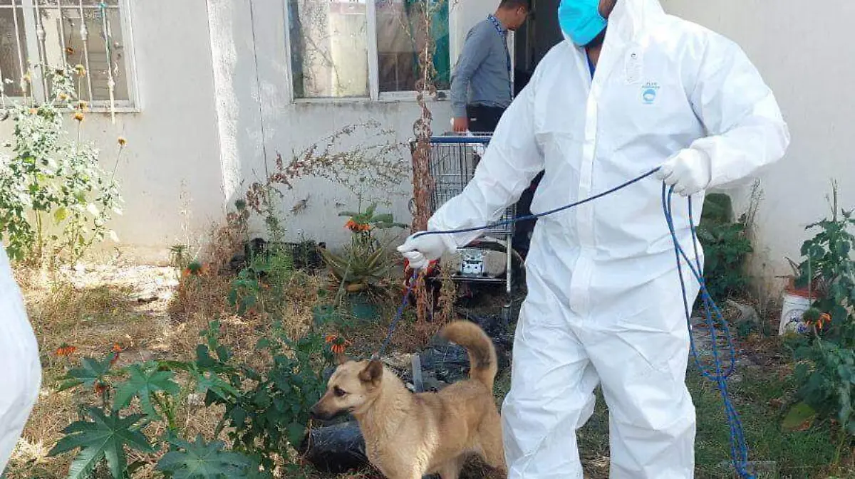 WhatsApp Image 2026-01-22 at 10.47.30 PM (1)