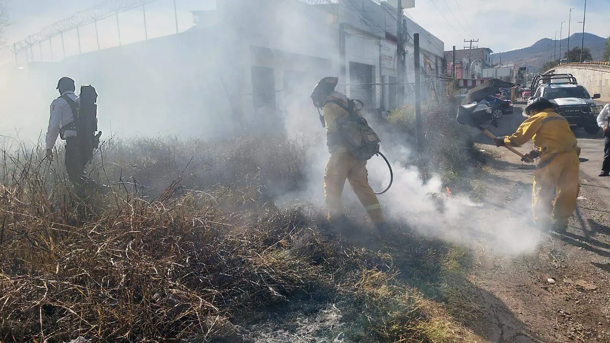 WhatsApp Image 2026-01-24 at 2.30.47 AM (1)